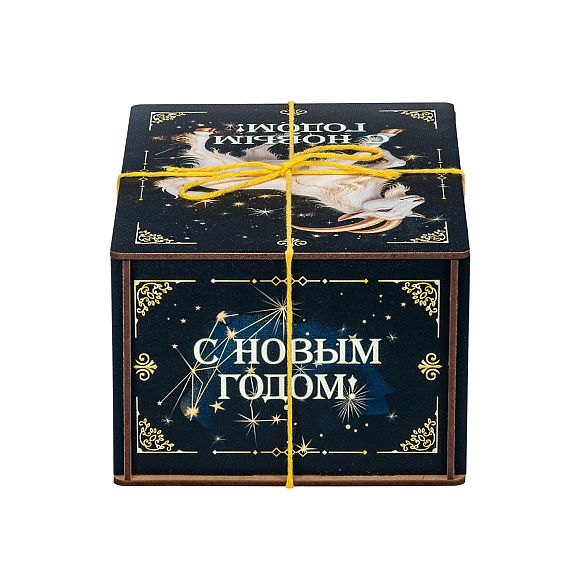 Сладкий новогодний подарок Набор сладостей «Созвездие Козерога (Бюджет)»